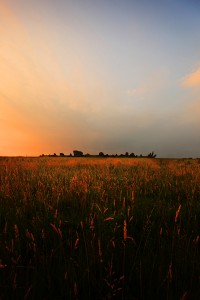 Beltony stone circle at Dawn. By Damien Demolder Neutral density filters help to control brightness differences.